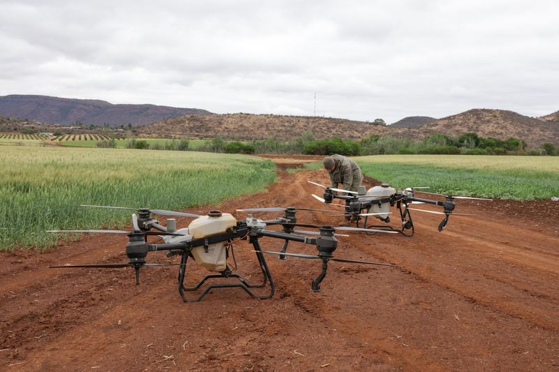 Group of agricultural spray drones ready on a farm track between paddocks